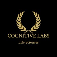 Cognitive Labs Inc. logo - Similar company to Empowerful