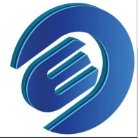 Esas Bağımsız Denetim SMMM A.Ş. logo - Similar company to Wisdom Auditing
