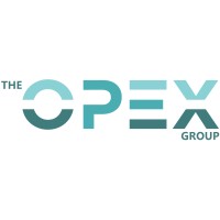 OPEX Energy Group logo - Similar company to Ds Energy Group