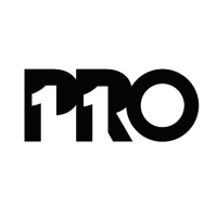 PRO11 logo - Similar company to Pro11