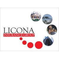 LICONA INSURANCE GROUP logo - Similar company to Horizone Construction 1 Ltd