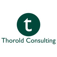 Thorold Consulting logo - Similar company to Louis Thorold Foundation