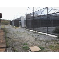 jjj logo - Similar company to Duman