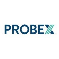 Probex.es logo - Similar company to Probex
