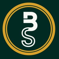 Bridging Strategies logo - Similar company to Eleven Consulting & Publishing