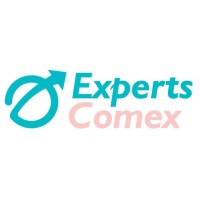 Experts Comex logo - Similar company to Tl Manager