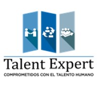 Talent Expert Consulting logo - Similar company to Petroeng