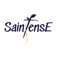 SainTense logo - Similar company to Digx Solutions