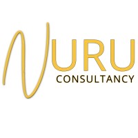 NURU Consultancy logo - Similar company to Domestic Violence Intervention Project