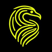 Brand Raptor logo - Similar company to Openwalls_Uae