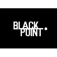 Black Point logo - Similar company to Itsalive