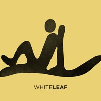 whiteLeaf Design Studio logo - Similar company to White Leaf Solutions Ltd