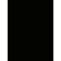 TBC logo - Similar company to Auto Lounge