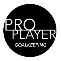 Pro Player LLC logo - Similar company to Proplayerteam