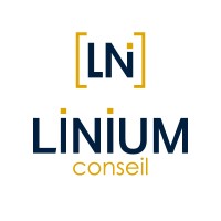 LINIUM Conseil logo - Similar company to Movvéo