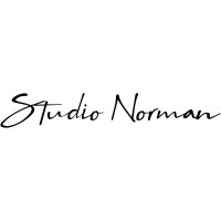Studio Norman logo - Similar company to Visa2