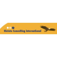 Histoto Consulting International Cc