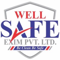 WellSafe logo - Similar company to Wellsafe