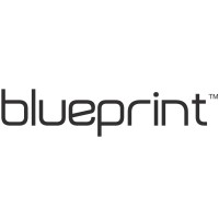 Blueprint Eyewear logo - Similar company to Airback B.V.