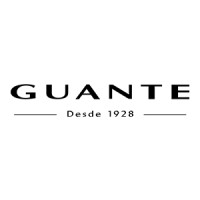 Guante logo - Similar company to Payelec
