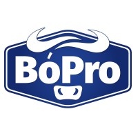 BóPro logo - Similar company to Condon Engineering