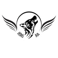 BÖRÜ UAV logo - Similar company to High-End Technology