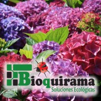 BIOQUIRAMA SAS logo - Similar company to Bio-Crop Sas