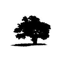 Monterey Financial Services logo - Similar company to Bema Technologies Llc