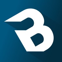 Blue IT ApS logo - Similar company to Michael Wulff A/S