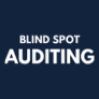 Blind Spot Auditing logo - Similar company to Rosy Experience