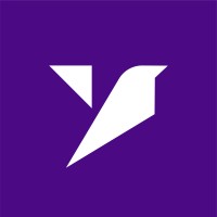 Nylance logo - Similar company to Flexart Hub