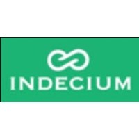 Indecium LLC logo - Similar company to Indicium Llc