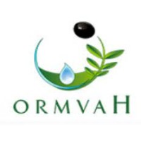 ORMVAH logo - Similar company to Ago It Solutions