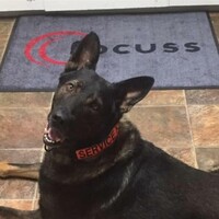 Focuss K9 logo - Similar company to Kessler International