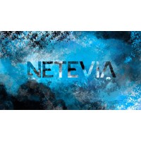 Netevia logo - Similar company to Sky Technology Services Pty Ltd
