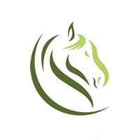 Clavius Solutions logo - Similar company to Canto Matrix