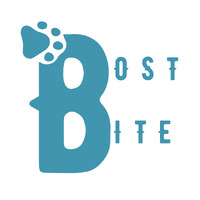 BOSTBITE EXPORT PRIVATE LIMITED logo - Similar company to Spooky And Diva
