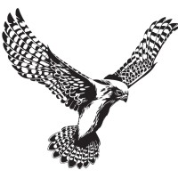 Kestrel Aluminium Systems Ltd logo - Similar company to Rapid Coating Ltd