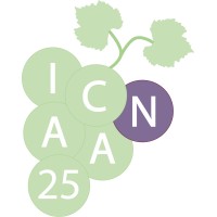 ICNAA2025 logo - Similar company to Net4Cities