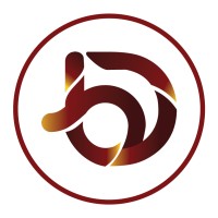 DiggB Media logo - Similar company to Pacex E Systems Pvt .Ltd.