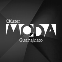Cluster Moda Guanajuato logo - Similar company to Asociación Nacional De Proveedores De Internet Inalámbrico Ac