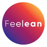 Feelean logo - Similar company to Eburnie Gold Fields