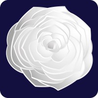 QSR Advisory