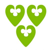 Ville de Wavre logo - Similar company to Inbw