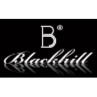 Jewels logo - Similar company to Wallis Hong Timeless Art Jewels