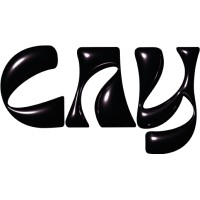 Cay Collective logo - Similar company to Flowity Ai