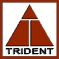 Trident Fire & Security logo - Similar company to Energy Logix