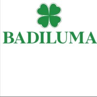 BADILUMA logo - Similar company to Cotener