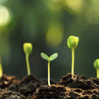 Generative AI For Good logo - Similar company to Aiopti | Empowering Businesses With Generative Ai Solutions