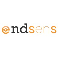 ENDSenS logo - Similar company to Twentynice